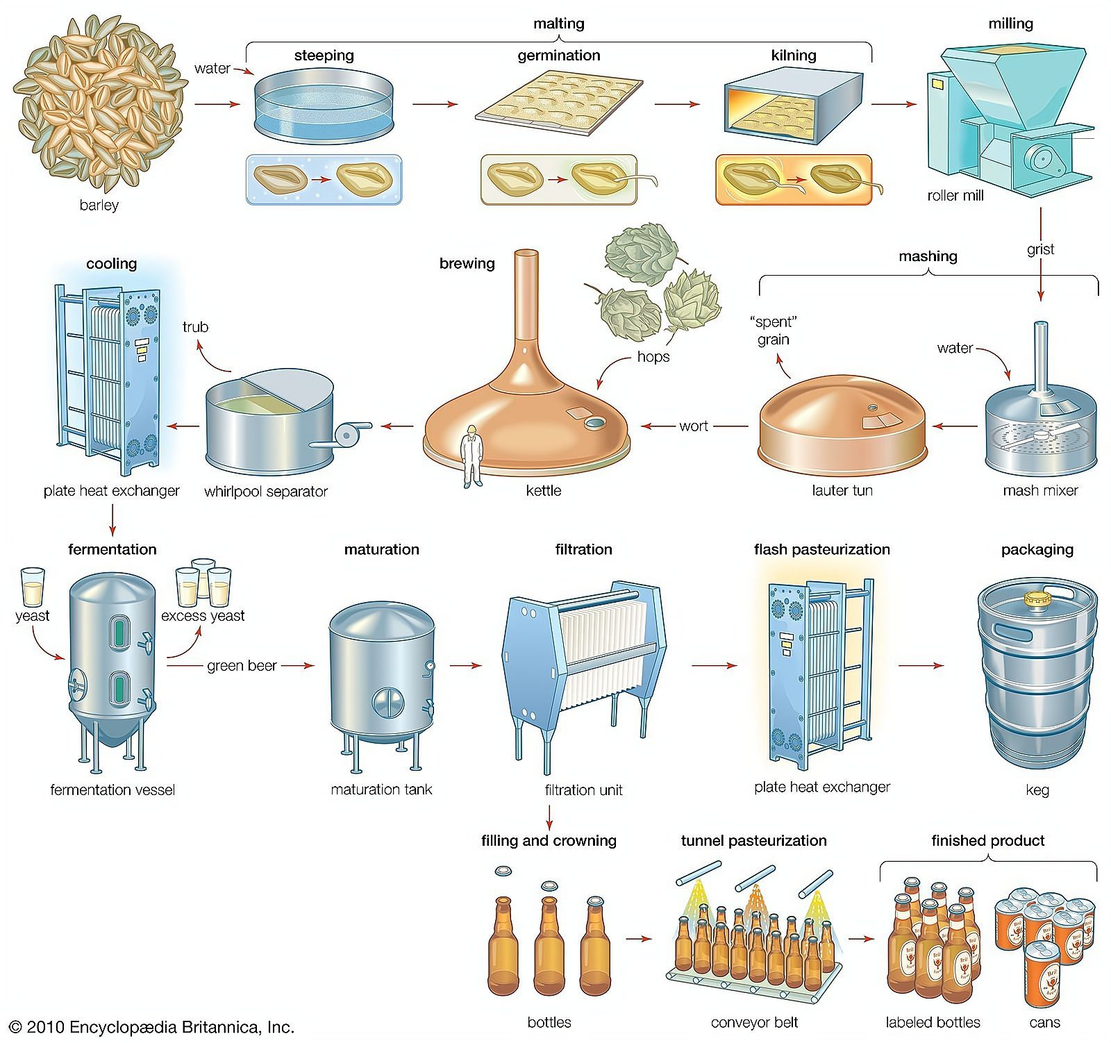 brewing process diagram